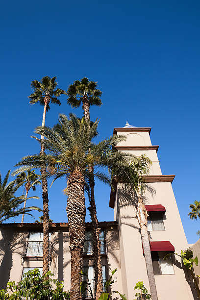 istock Mexican style real estate 105769507