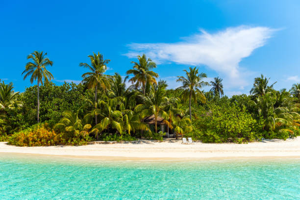istock View of the paradise sandy beach, Maldives. Copy space for text. 1057704502
