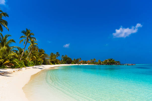 istock View of the paradise sandy beach, Maldives. Copy space for text. 1057704650