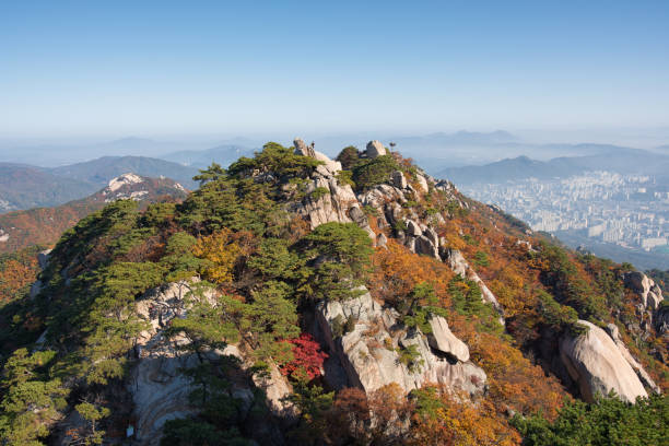 istock Autumn in Seoul 1057710476