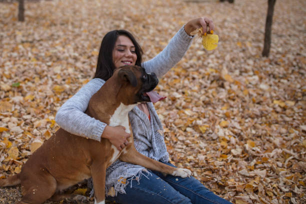 A woman playing with a dog in a park an autumn day.