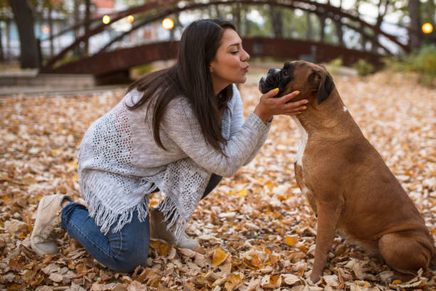 istock Playing with a dog on autumn day. 1057734768