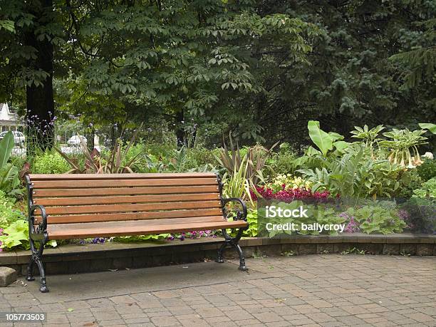 公園のベンチ - カラー画像のストックフォトや画像を多数ご用意 - カラー画像, ギボウシ, ハードスケープ