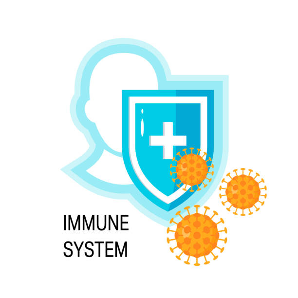 концепция вектора иммунной системы - human immune system bacterium flu virus illness stock illustrations