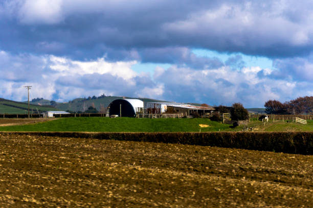 istock Countryside in New Zealand 1057743320
