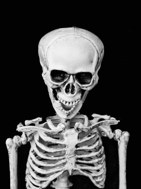 istock Halloween Skeleton in Black and White 1057755272