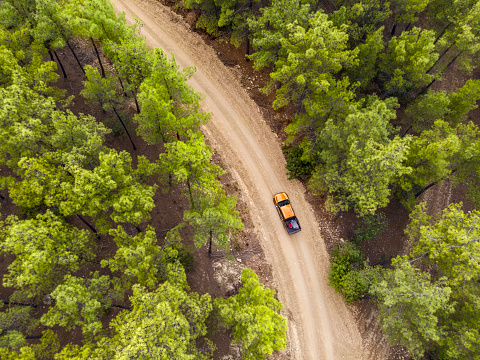 Aerial view of a pine forest with a brown pick up truck driving through a pathway, Antalya, Turkey