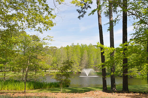 Sparkling fountain in a tranquil park setting during daytime. A beautiful fountain sprays water in a serene park surrounded by lush greenery.