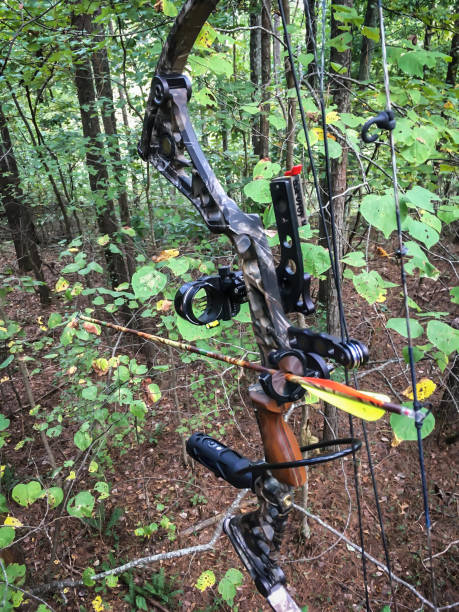 istock Hunting Archery equipment, bow and arrow 1057757924