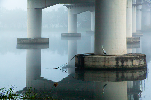 Va108 Water reflection under the Han River Bridge