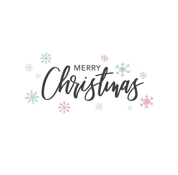ilustrações de stock, clip art, desenhos animados e ícones de merry christmas calligraphy vector text with hand drawn snowflakes over white - texto