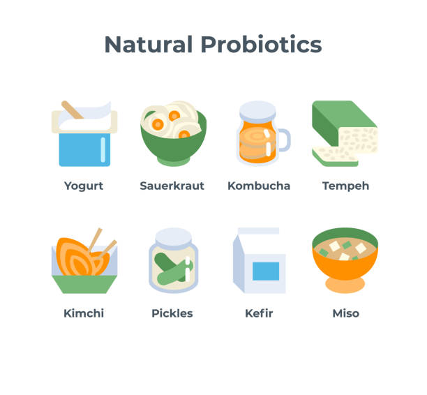 Natural Probotics Vector set of flat icons of natural Probiotic foods. Cartoon style illustration of gut healthy fermented products such as Kefir, Sauerkraut, Tempeh, Kombucha, Kimchi, Yogurt, Pickles and Miso probiotics stock illustrations