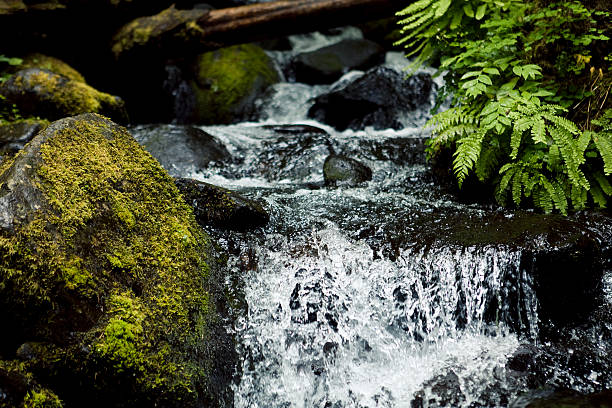 pure mountain wody - minature waterfall zdjęcia i obrazy z banku zdjęć