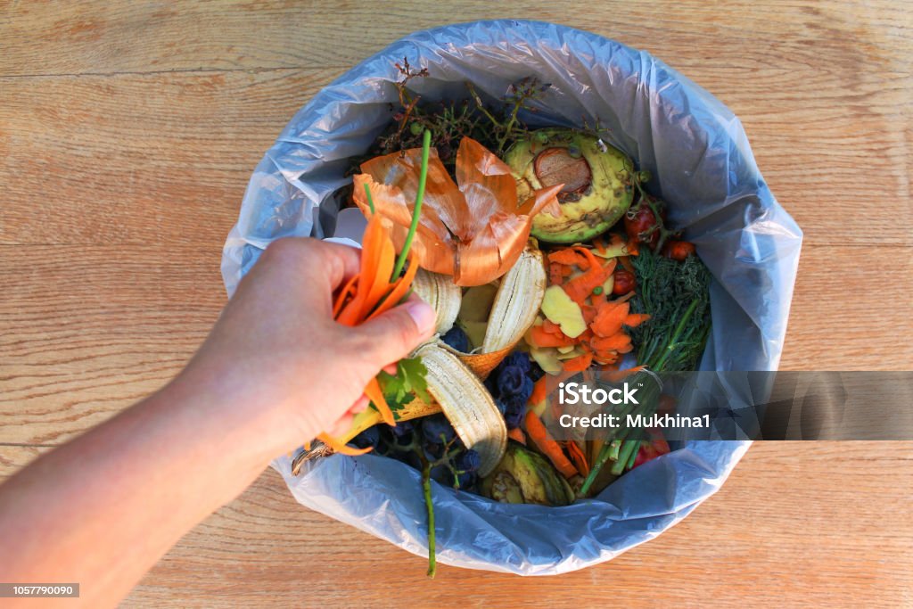 Ordures ménagères pour le compost de fruits et légumes. Femme jette des ordures. - Photo de Déchets libre de droits