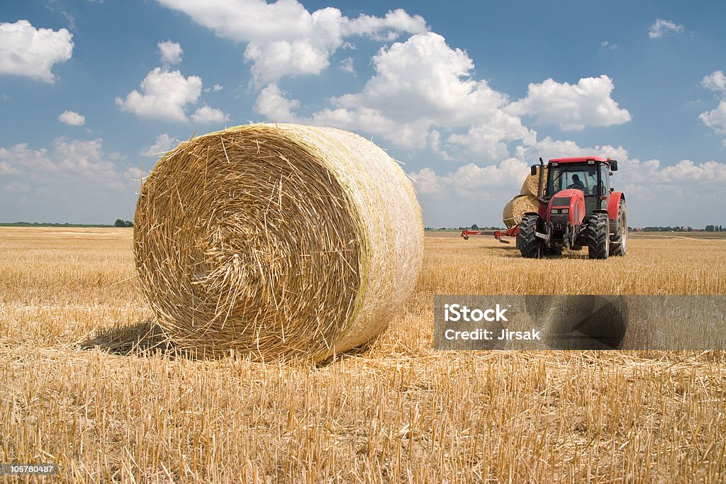 Трактор Сельское хозяйство - Стоковые фото Время года роялти-фри
