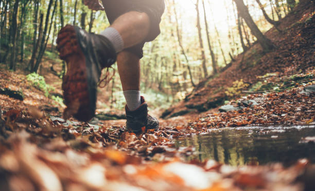 Fall hiking Close up of hiker boots crossing mountain forest stream in autumn. Low angle view of hiker walking, copy space. landscape stream autumn forest stock pictures, royalty-free photos & images