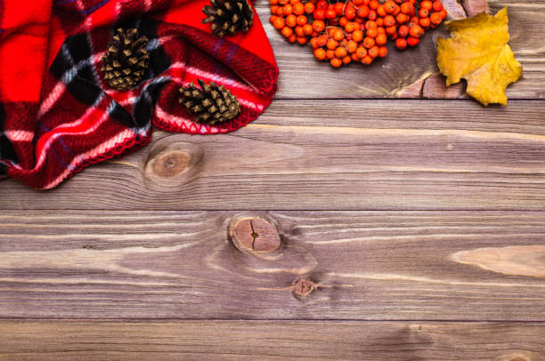 istock Autumn still life - plaid, maple leaf, cones and rowan on a wooden background 1057815780