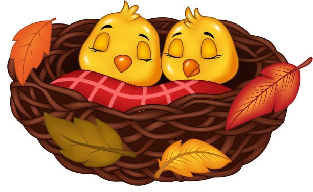 illustrations, cliparts, dessins animés et icônes de dessin animé bébé oiseau dort dans le nid - animal young bird baby chicken chicken