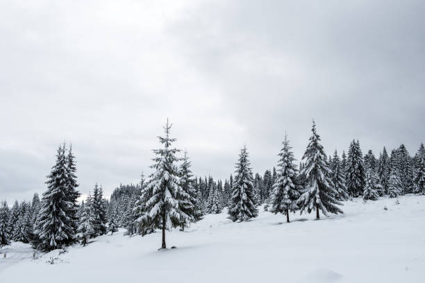 istock Fairy snowy winter Christmas landscape 1057819016