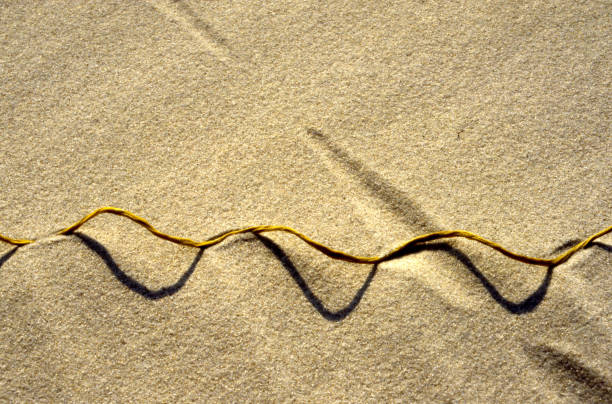 istock curled orange colored rope with it's shadow making a track on the beach 1057822504