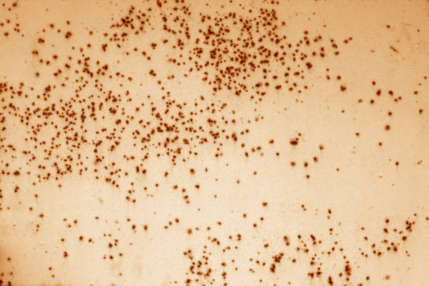 istock Grungy rusted metal surface in orange tone. 1057825840