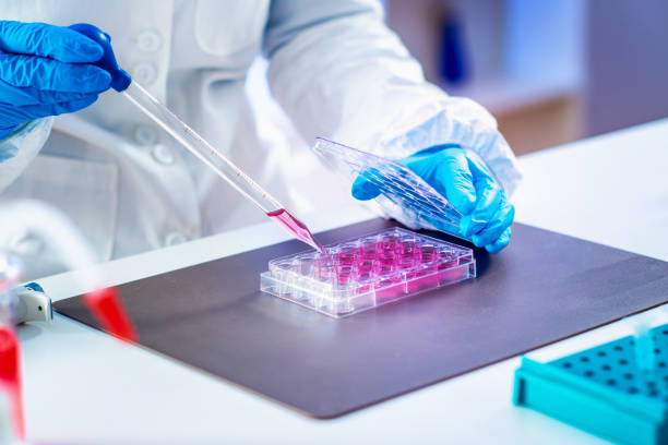 Biotechnology researcher in laboratory Biotechnology. Life science researcher in laboratory stem cell photos stock pictures, royalty-free photos & images