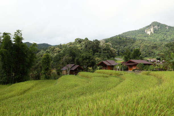 istock Thailand Chiang Mai region 1057828762