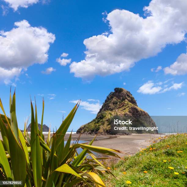 Piha Beach New Zealand Stock Photo - Download Image Now - New Zealand, Piha Beach, Summer