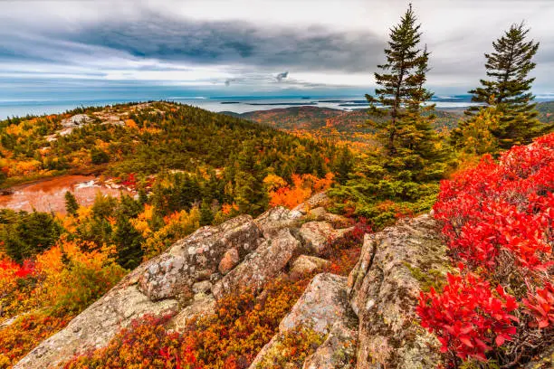 Photo of Fall Foliage atop Cadillac Mountain in Acadia National Park Maine