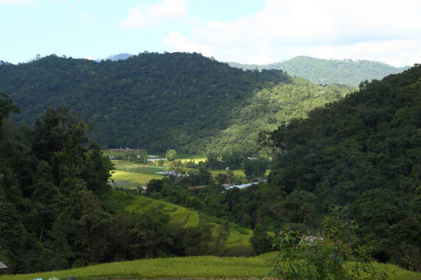 istock Thailand Chiang Mai region 1057834540
