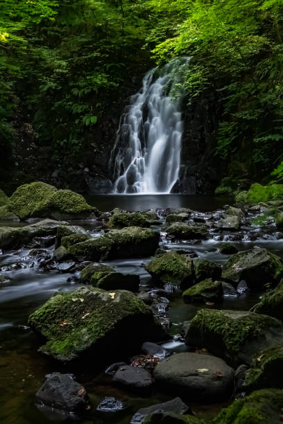 istock Glenoe Waterfall, Northern Ireland 1057836002