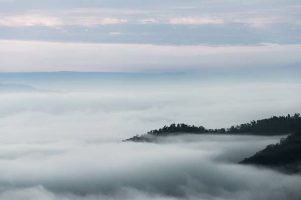 istock Fog above the forest in minimalist photography 1057836604