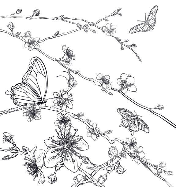 Ilustración de Mariposas Flores De Cerezos En Flor Melocotón y más Vectores Libres de Derechos de Mariposa - Lepidópteros - Mariposa - Lepidópteros, Dibujo, Flor - iStock Ilustración de Mariposas Flores De Cerezos En Flor Melocotón y más Vectores Libres de Derechos de Mariposa - Lepidópteros - Mariposa - Lepidópteros, Dibujo, Flor - iStock