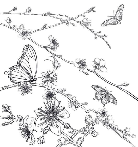 бабочки черри персик цветы цветы - bamboo backgrounds nature textured stock illustrations