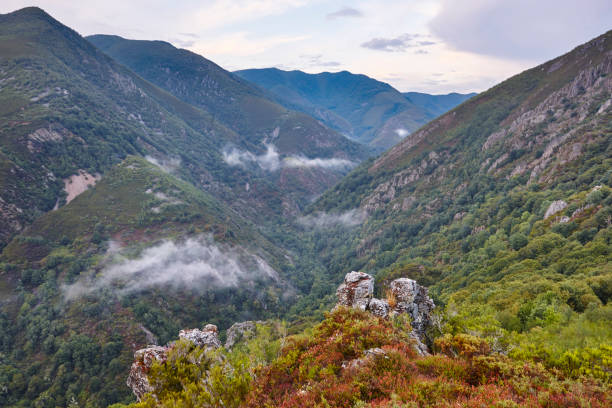 istock Oak tree forest landscape in Asturias. Bear route Narcea 1057843264