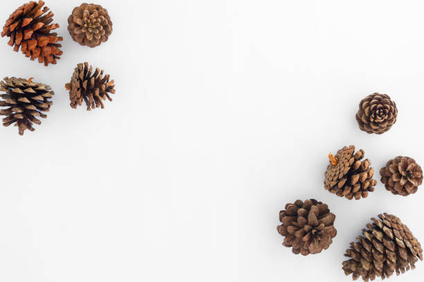 istock Christmas pine cones on white paper border composition. 1057846252