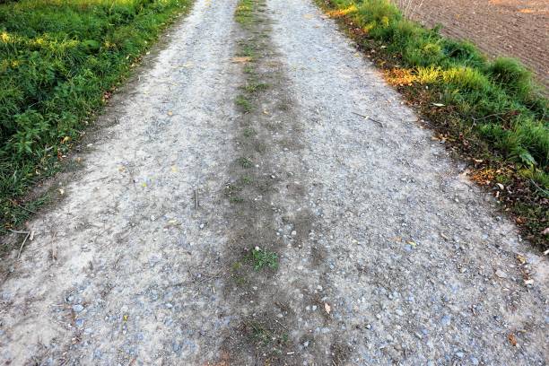 istock An image of land 1057846710