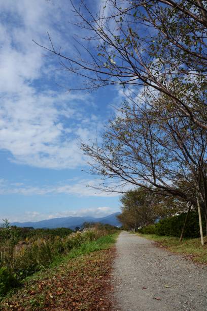 istock Autumn scenery of riverside path 1057853484