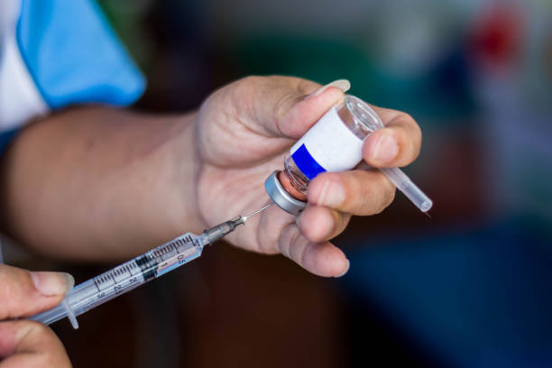 istock Doctor hold syringe prepare for injection on cat’s sterilization 1057856488