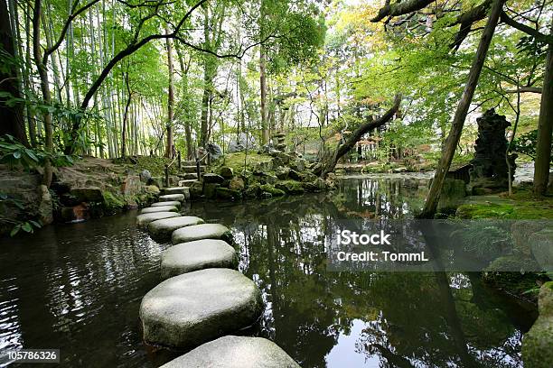 Escalones Foto de stock y más banco de imágenes de Pasadera - Pasadera, Agua, Naturaleza