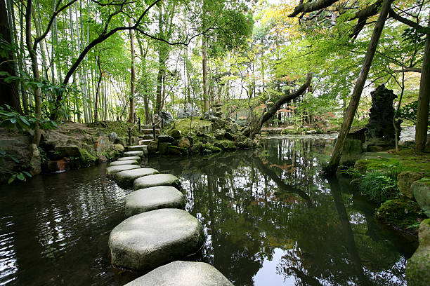 Stepping stones  japanese garden stock pictures, royalty-free photos & images