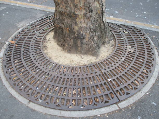 istock Metal grid protecting a plane tree in Paris-France 1057867420