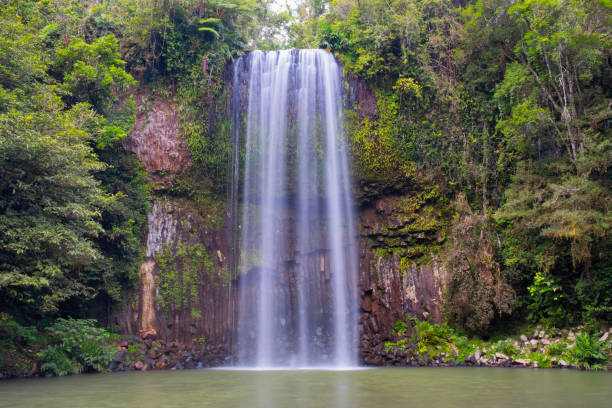 istock Millaa Millaa Falls, Queensland, Australia 1057868710
