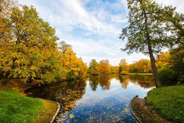 istock Autumn landscape. Colorful trees and pond. 1057876168