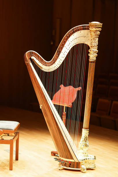 50+ Korean Harp Stock Photos, Pictures & Royalty-Free Images - iStock