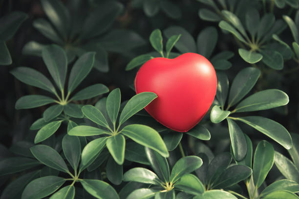 A little heart is in the green leaf.