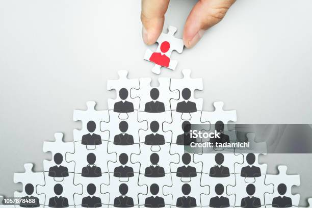 Selecting Leader Of Business Organization Human Resource Management Head Hunting Stock Photo - Download Image Now