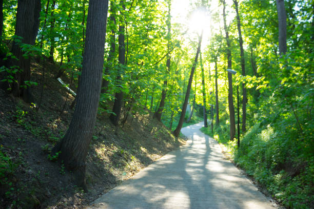 istock paths in the Park. summer sunny day 1057890082