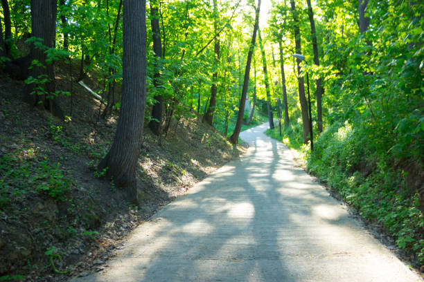 paths in the Park