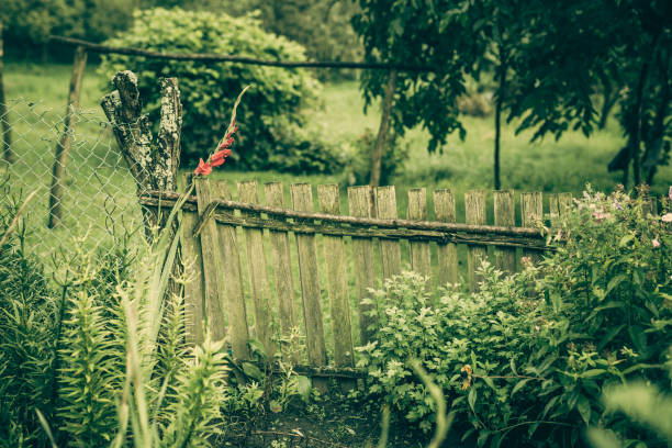 An old rusty garden shovel outdoors on wooden planks background, vintage retro look
